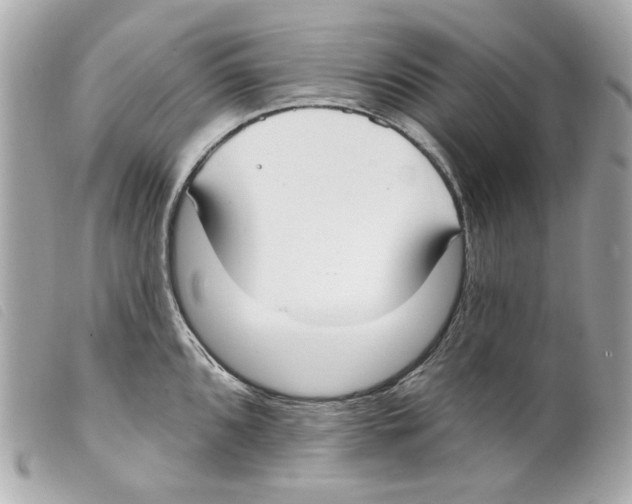 X0000099321096200805301210