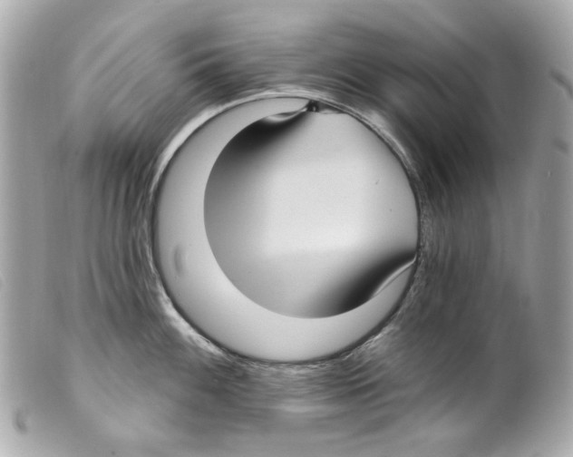 X0000099321100200805301210