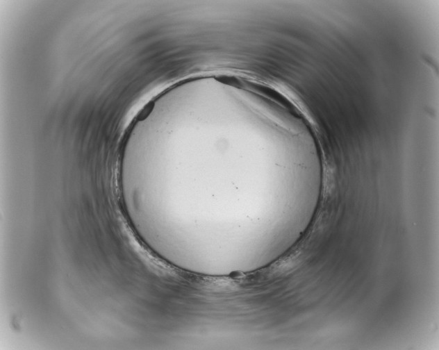 X0000099321101200805301210