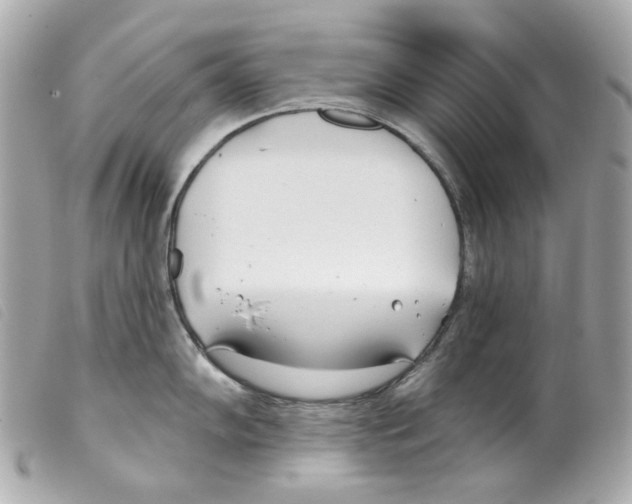 X0000099321102200805301210