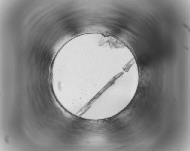 X0000099321103200805301210