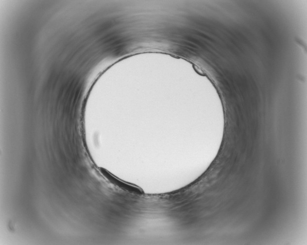 X0000099321104200805301210