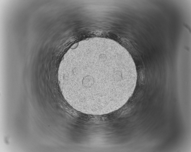 X0000099321105200805301210