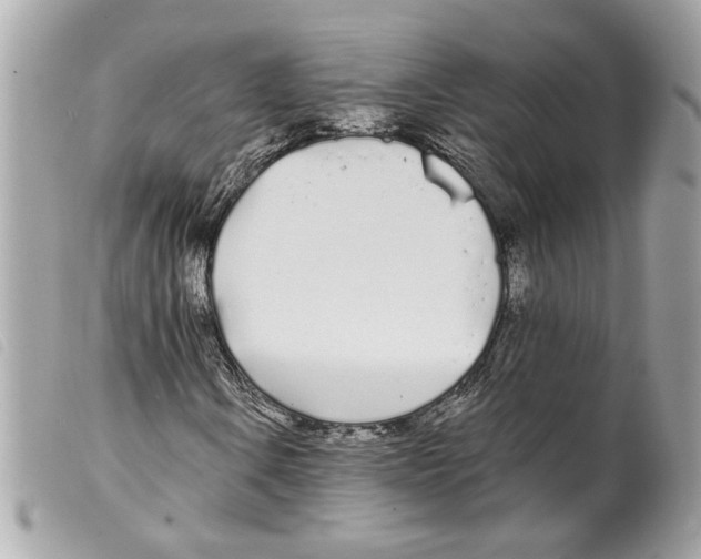 X0000099321106200805301210