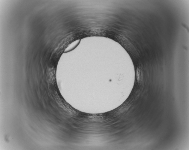 X0000099321107200805301210