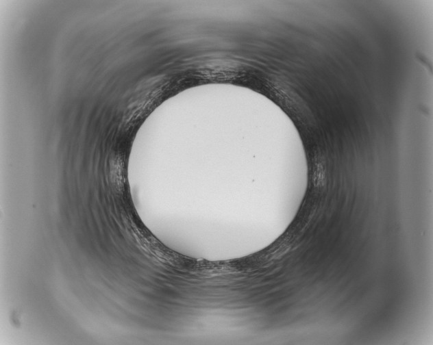 X0000099321108200805301210