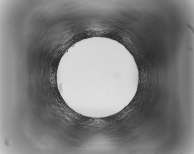 X0000099321109200805301210