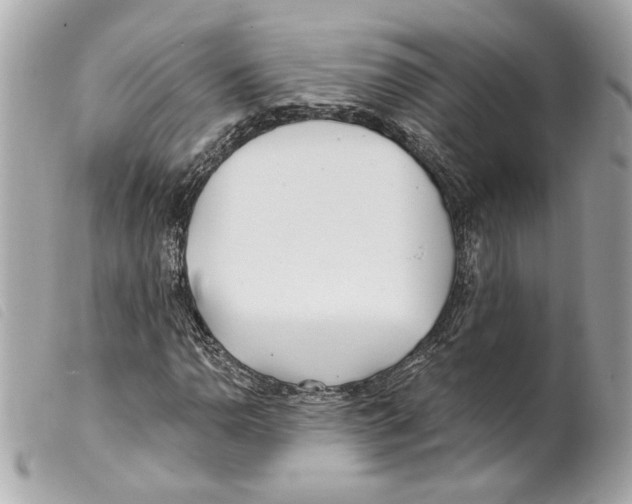X0000099321110200805301210