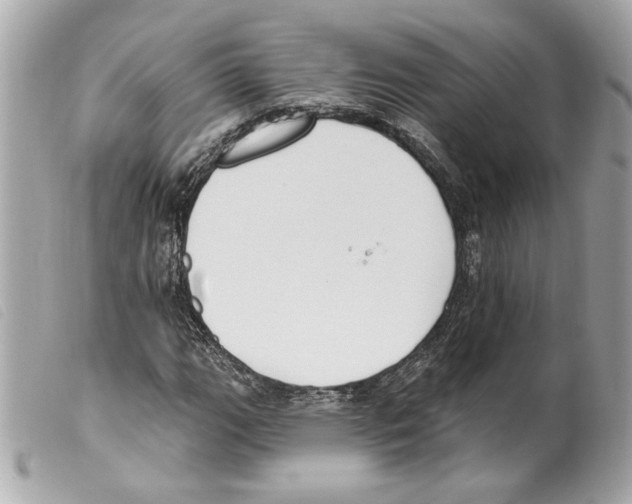 X0000099321111200805301210