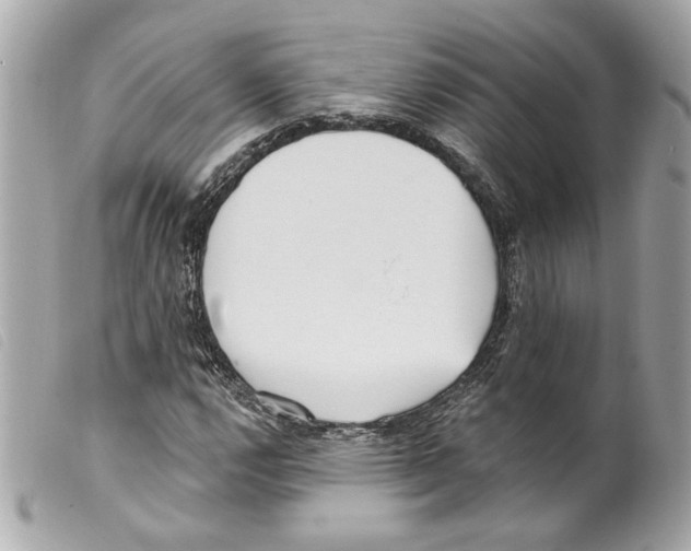 X0000099321112200805301210