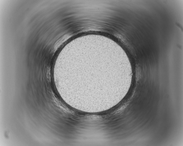 X0000099321113200805301210