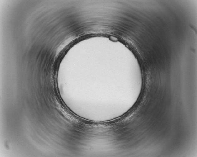 X0000099321114200805301210