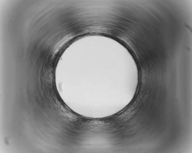 X0000099321115200805301210