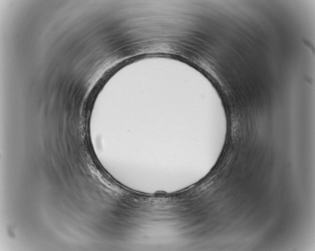 X0000099321116200805301210