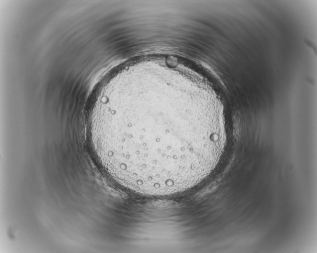 X0000099321117200805301210