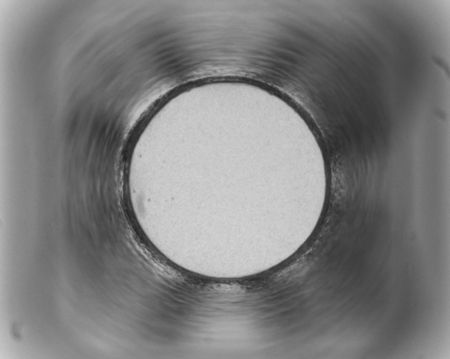 X0000099321119200805301210