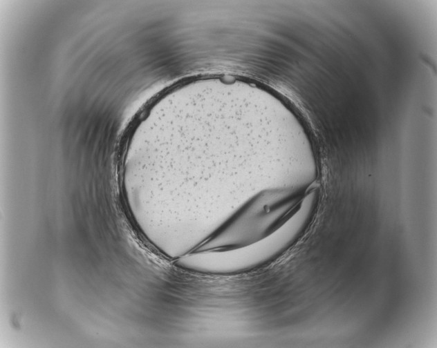 X0000099321120200805301210