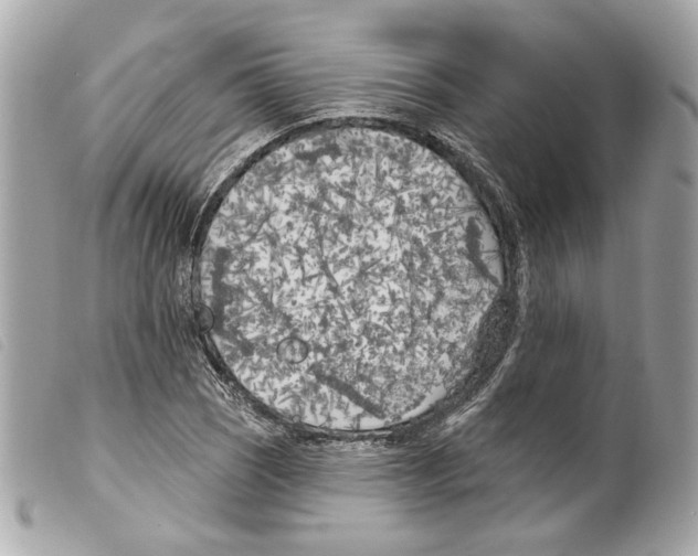 X0000099321121200805301210