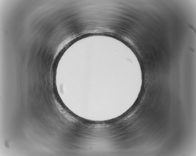 X0000099321122200805301210