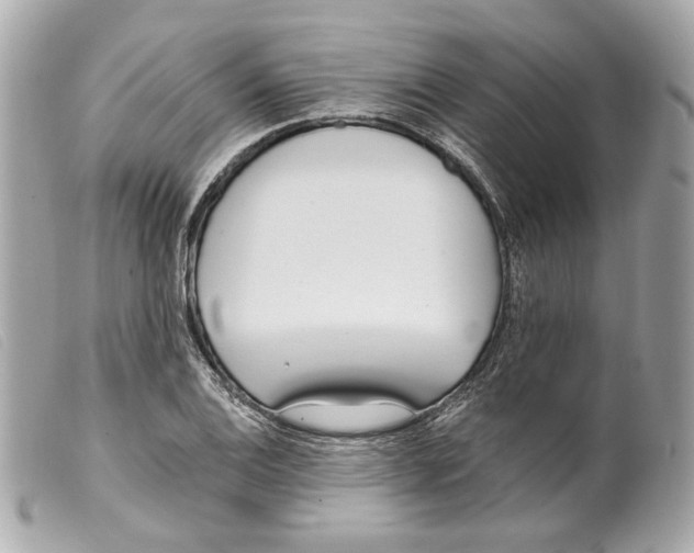 X0000099321124200805301210