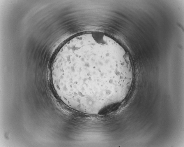 X0000099321125200805301210