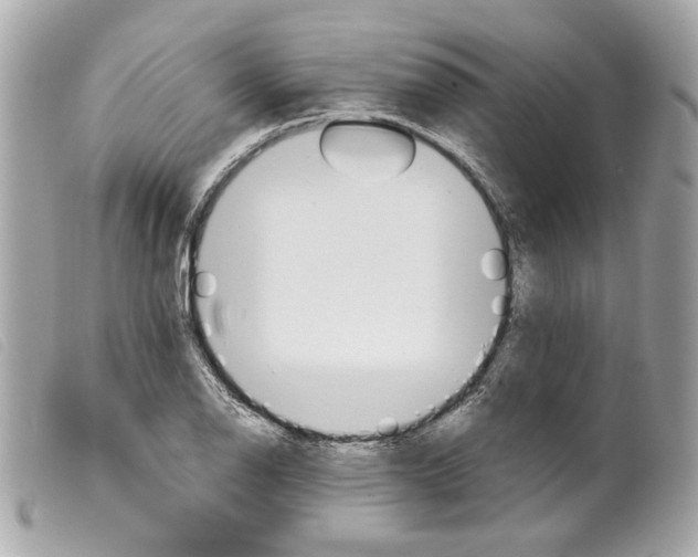 X0000099321126200805301210