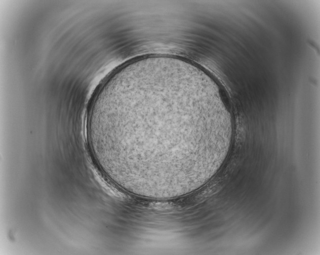 X0000099321128200805301210