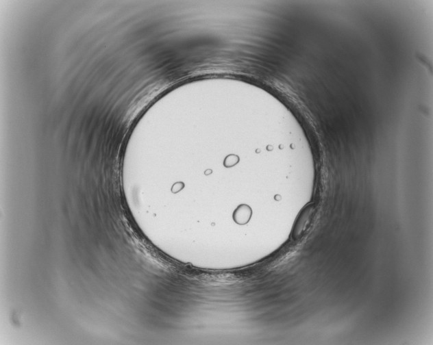 X0000099321129200805301210