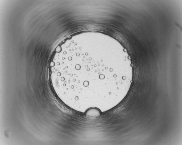 X0000099321130200805301210