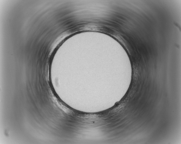 X0000099321131200805301210