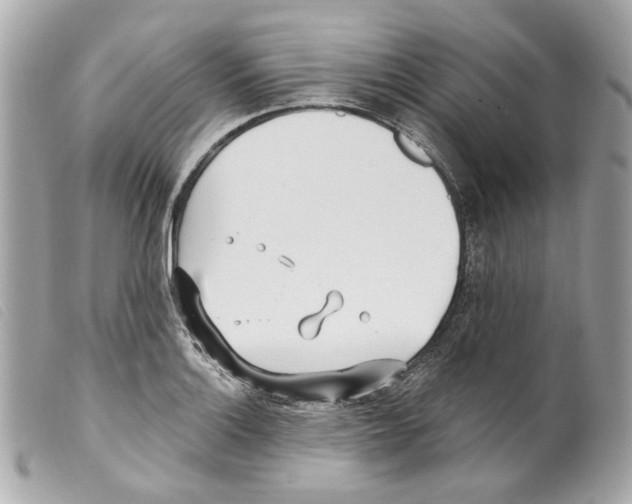 X0000099321132200805301210