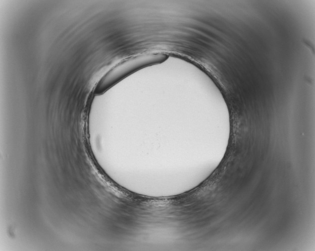 X0000099321134200805301210