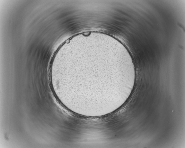 X0000099321135200805301210