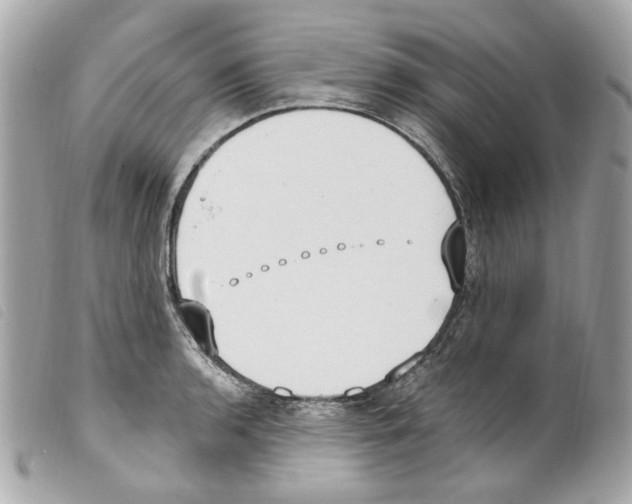 X0000099321136200805301210