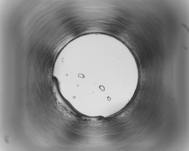X0000099321137200805301210
