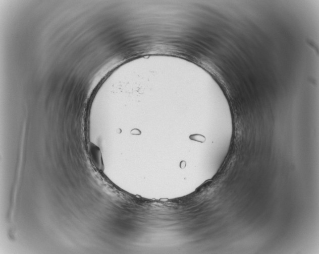 X0000099321138200805301210