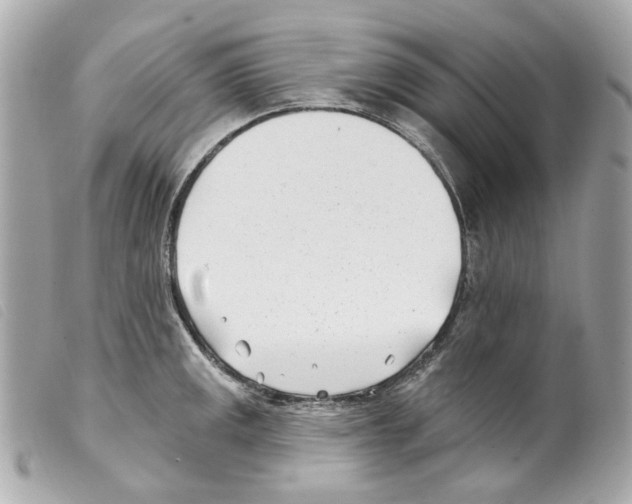 X0000099321141200805301210