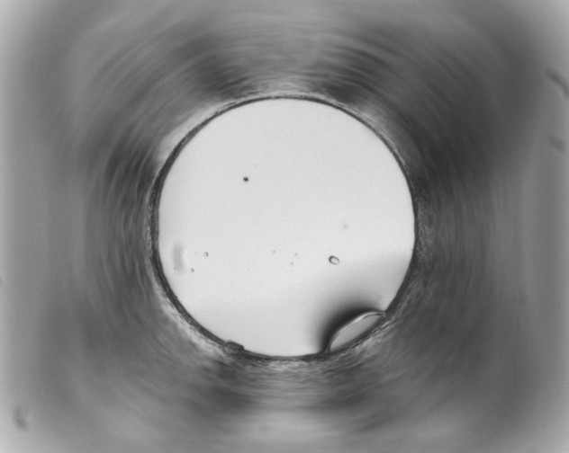 X0000099321142200805301210