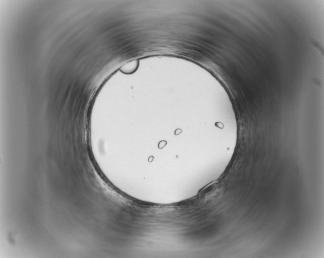 X0000099321143200805301210