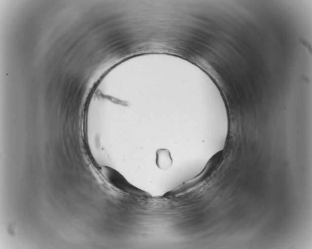 X0000099321144200805301210