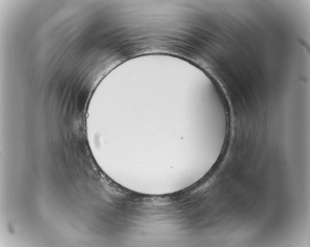 X0000099321145200805301210