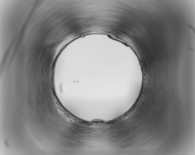 X0000099321146200805301210