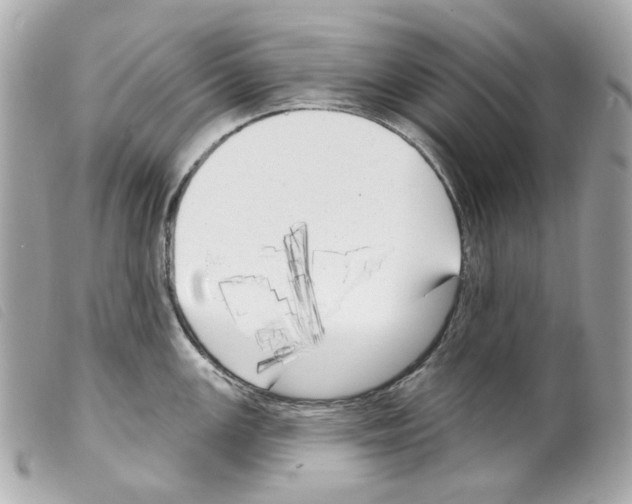 X0000099321147200805301210