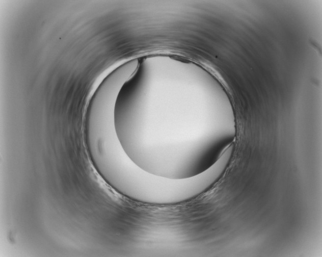 X0000099321148200805301210