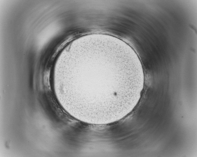 X0000099321150200805301210