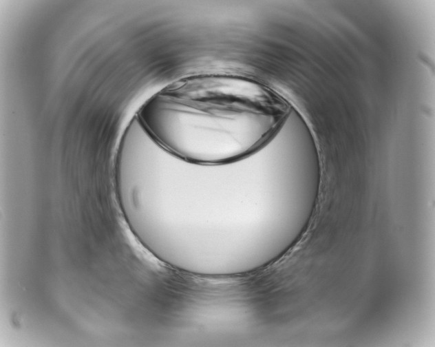 X0000099321152200805301210