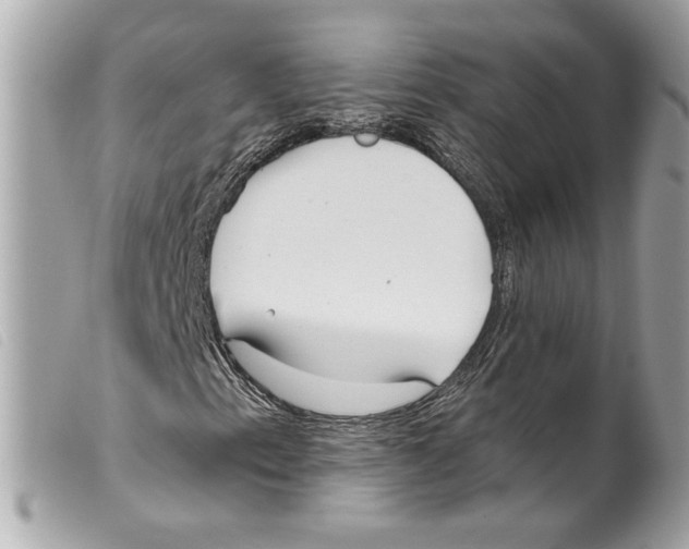 X0000099321153200805301210
