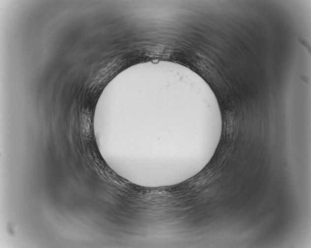 X0000099321154200805301210