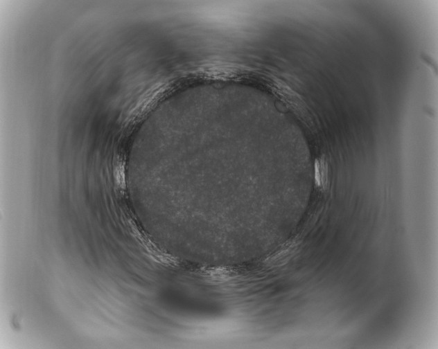 X0000099321155200805301210