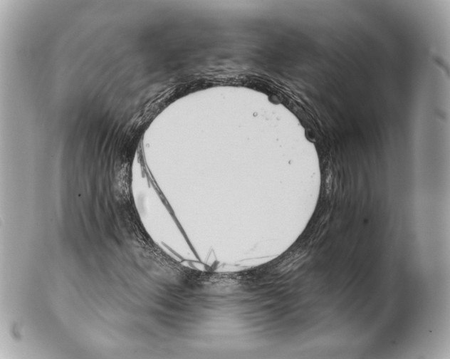 X0000099321156200805301210